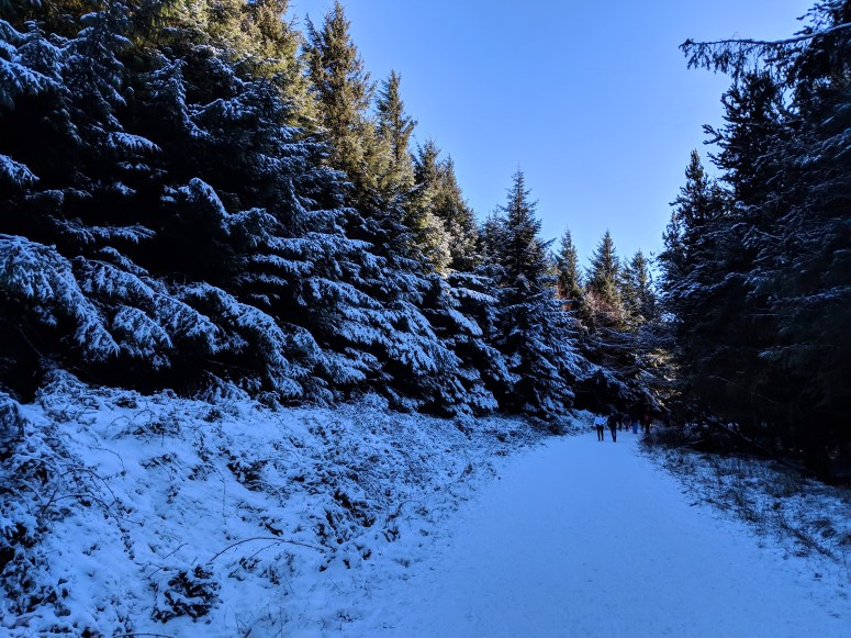 IMG_20190202_142241 (1)