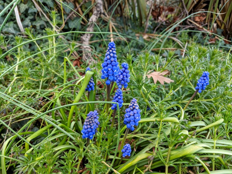 IMG_20190318_165841 (1)