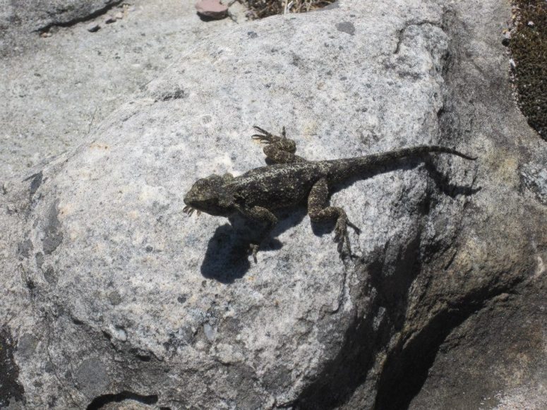 563531_10200147902272764_310575410_n