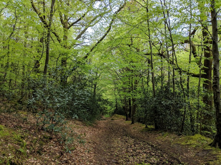 IMG_20190428_153132_1