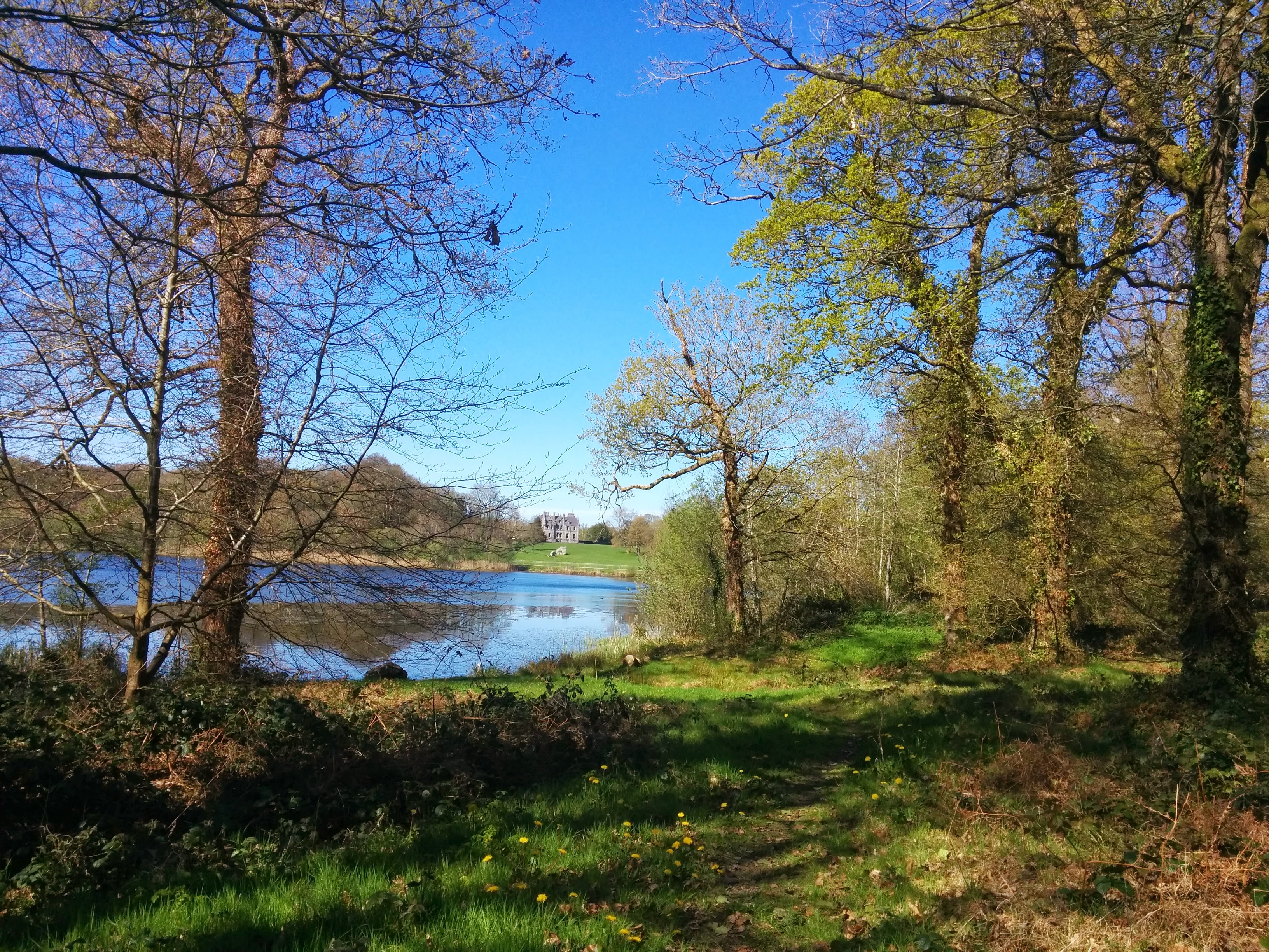 Walk in the Blarney Castle Grounds